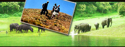 Adventure Tours in Kerala